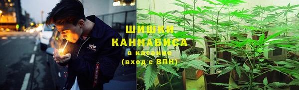 винт Алзамай