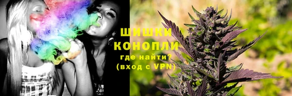 винт Алзамай