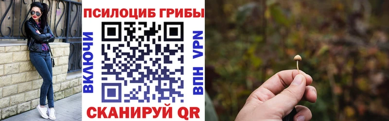 Псилоцибиновые грибы Psilocybe  ссылка на мегу вход  Опочка 